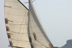 010-m1
