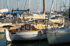 DSCN0743