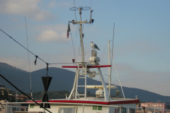 DSCN0755