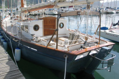 daphne5